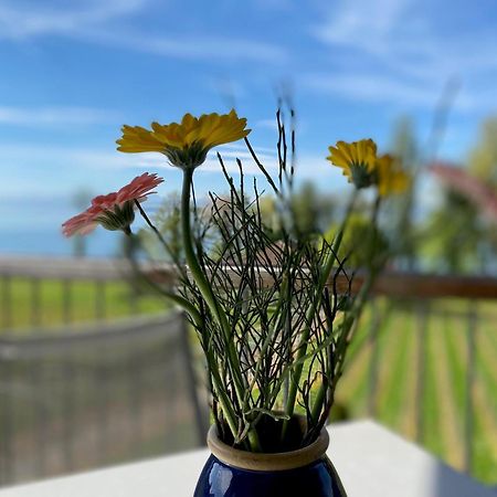 Appartementhotel Roehrenbach Immenstaad am Bodensee Exteriér fotografie