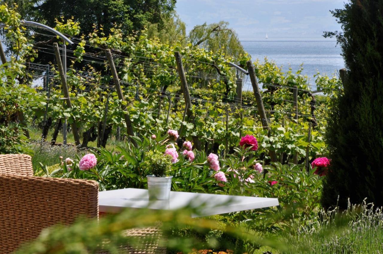 Appartementhotel Roehrenbach Immenstaad am Bodensee Exteriér fotografie