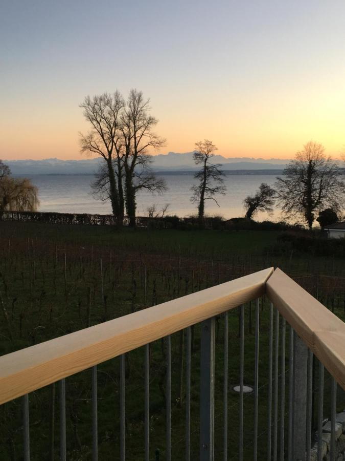 Appartementhotel Roehrenbach Immenstaad am Bodensee Exteriér fotografie