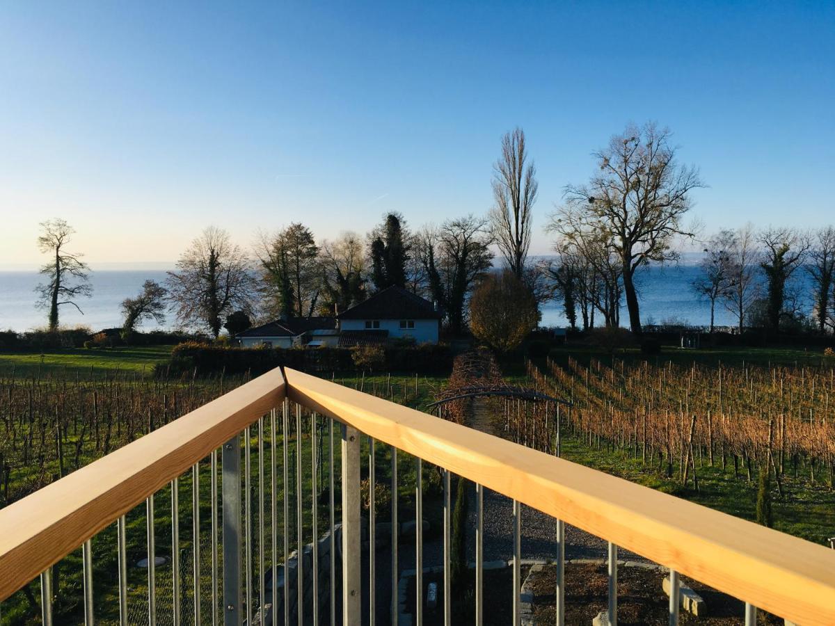 Appartementhotel Roehrenbach Immenstaad am Bodensee Exteriér fotografie