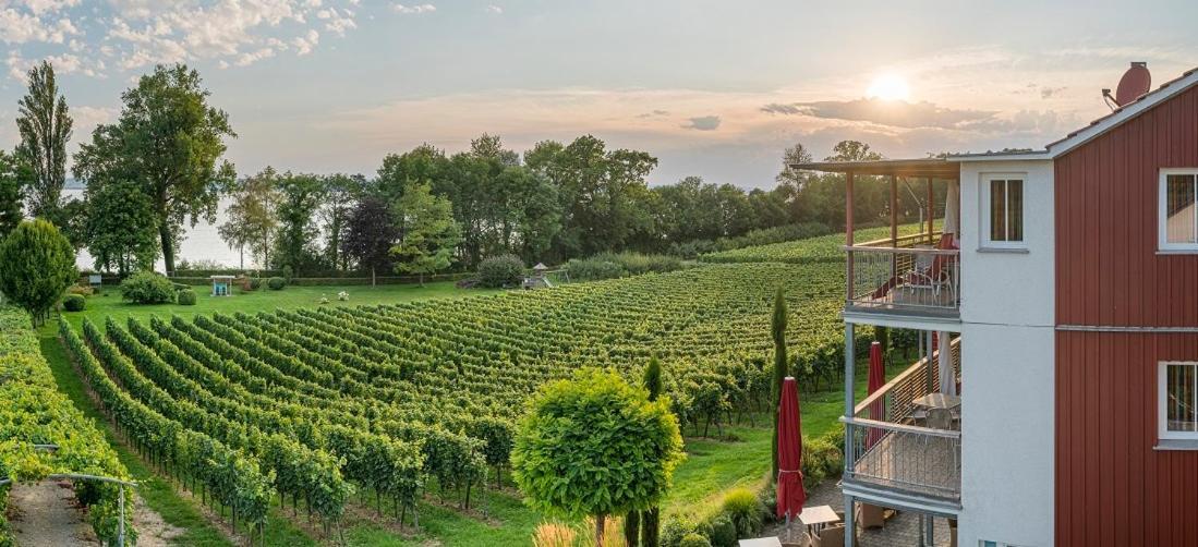 Appartementhotel Roehrenbach Immenstaad am Bodensee Exteriér fotografie