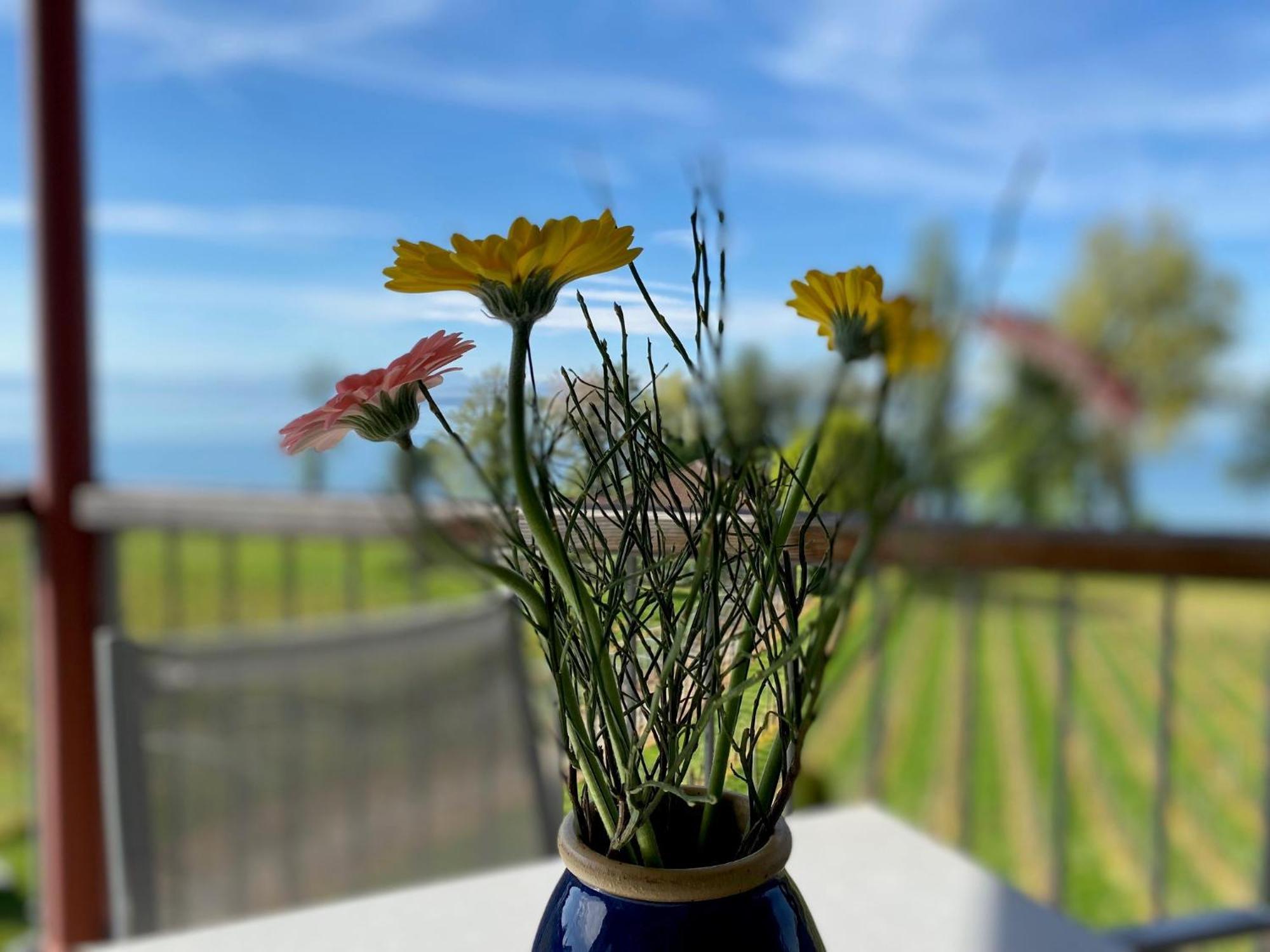 Appartementhotel Roehrenbach Immenstaad am Bodensee Exteriér fotografie